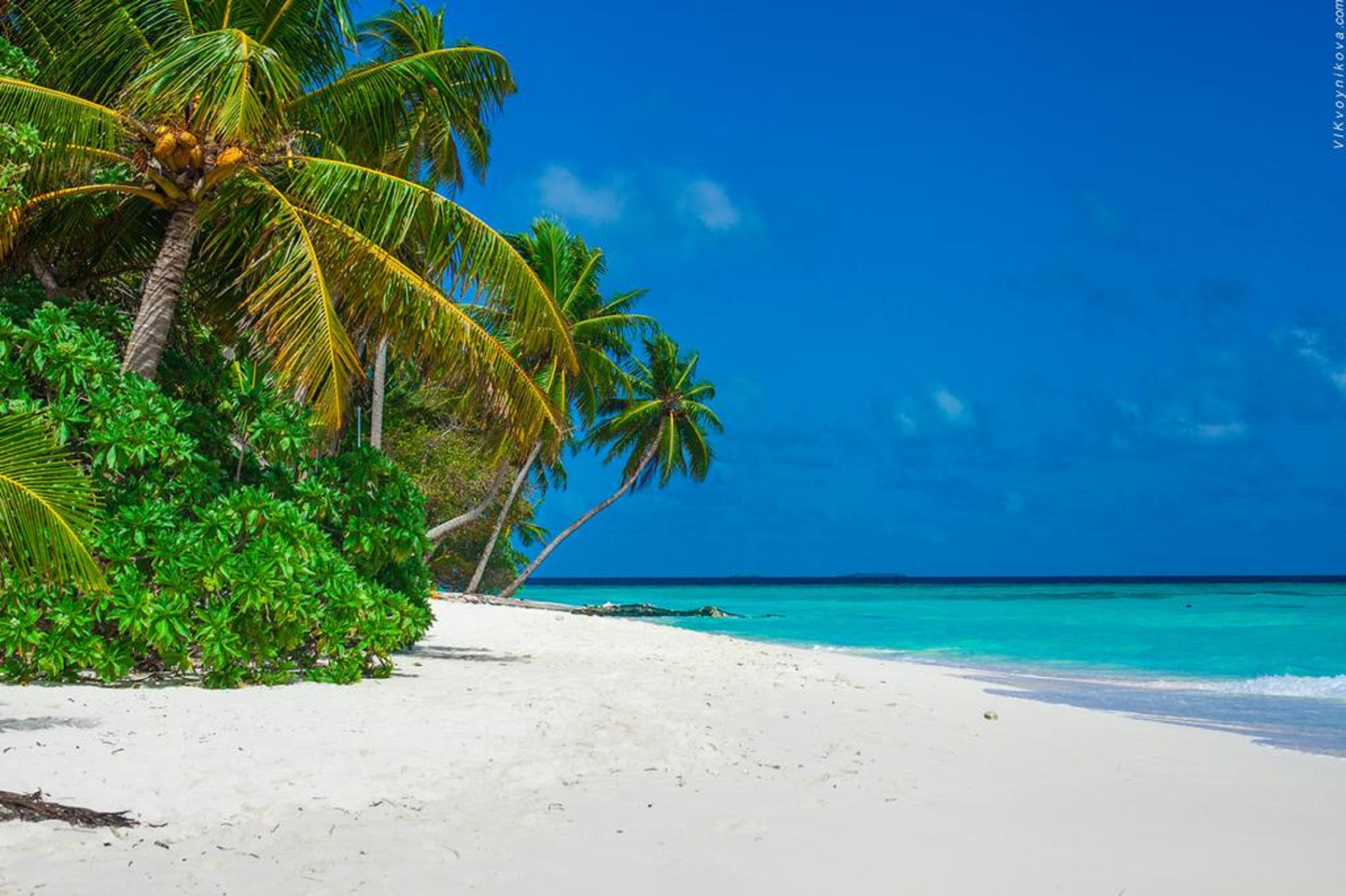 Stingray Beach Inn Maafushi Exterior foto