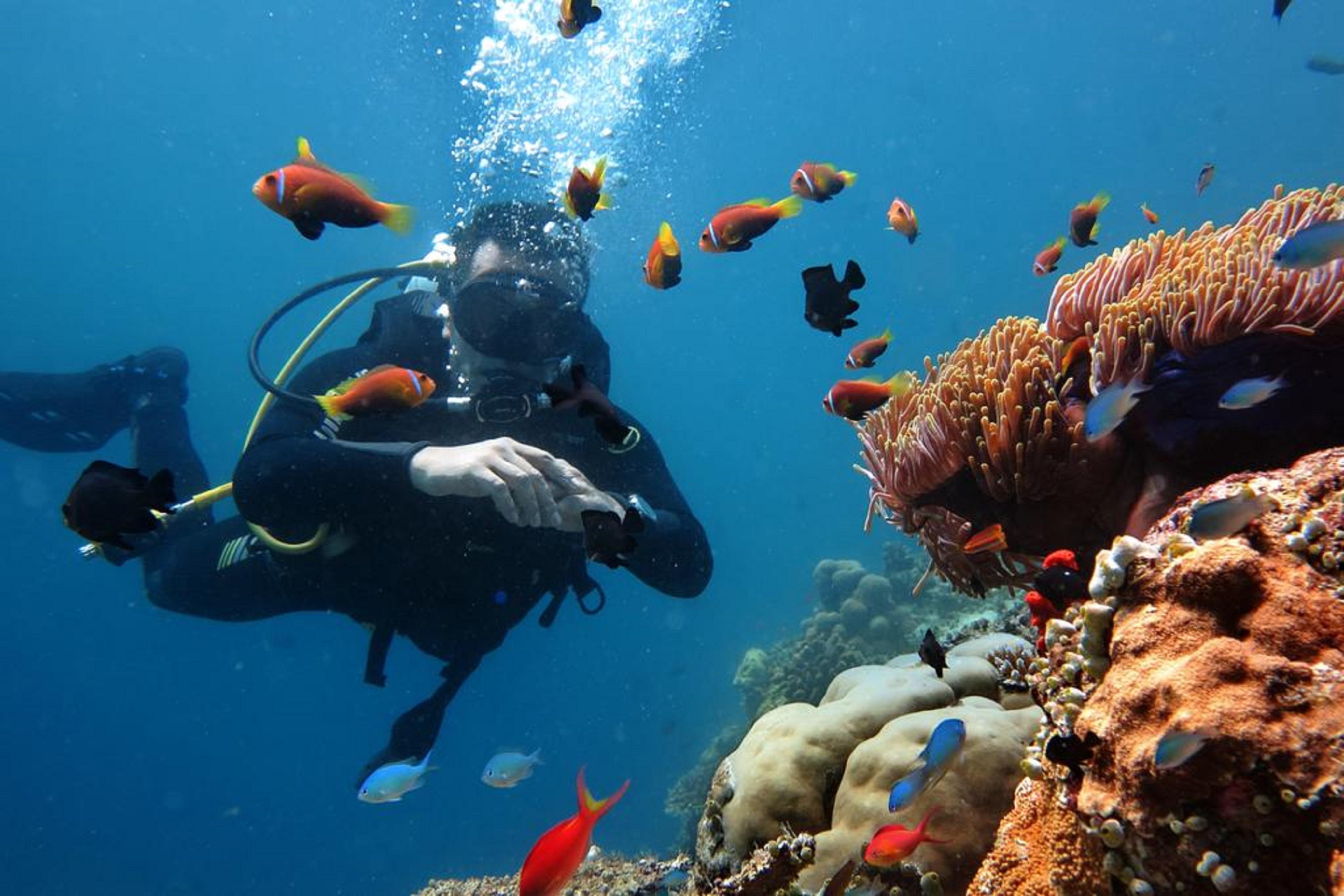 Stingray Beach Inn Maafushi Exterior foto